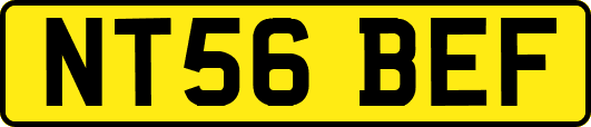 NT56BEF
