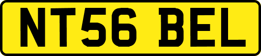 NT56BEL