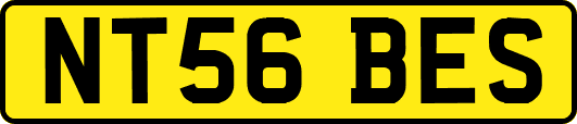 NT56BES