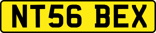 NT56BEX