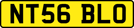 NT56BLO
