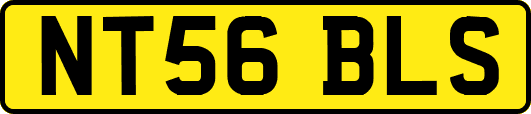 NT56BLS
