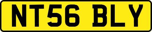 NT56BLY