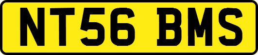 NT56BMS