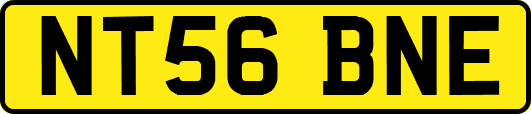 NT56BNE