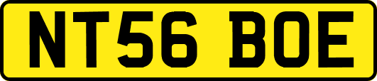 NT56BOE