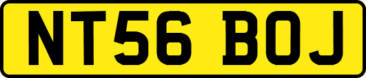NT56BOJ