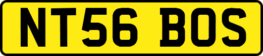 NT56BOS