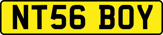 NT56BOY