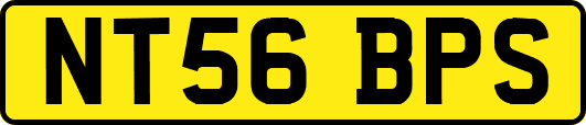 NT56BPS