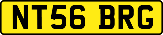 NT56BRG