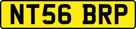 NT56BRP
