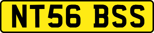 NT56BSS