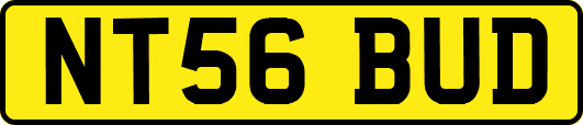 NT56BUD