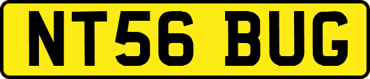NT56BUG