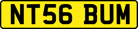 NT56BUM