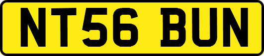 NT56BUN
