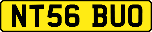 NT56BUO