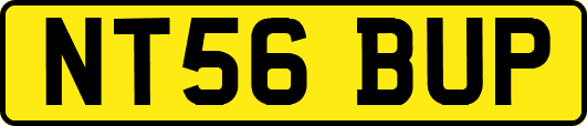 NT56BUP