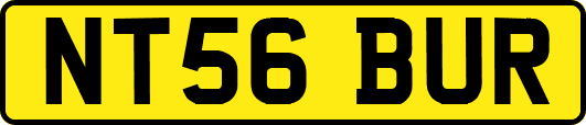 NT56BUR