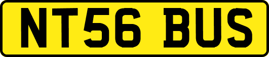NT56BUS