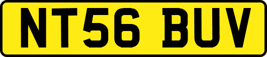 NT56BUV