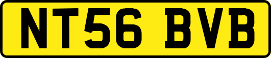 NT56BVB