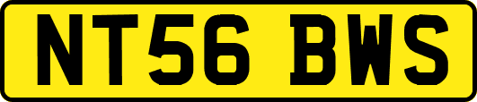 NT56BWS