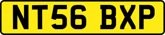 NT56BXP