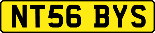NT56BYS