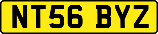 NT56BYZ