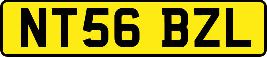 NT56BZL