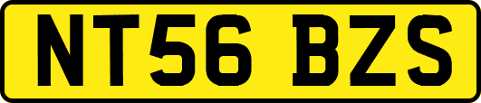 NT56BZS
