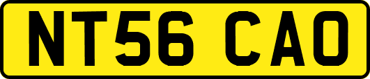 NT56CAO