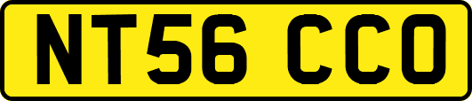 NT56CCO