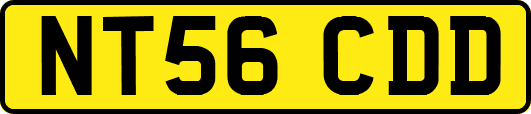 NT56CDD