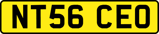 NT56CEO