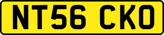 NT56CKO