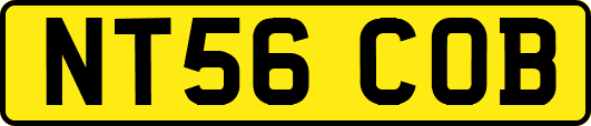 NT56COB
