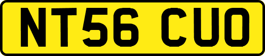 NT56CUO