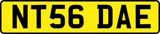 NT56DAE