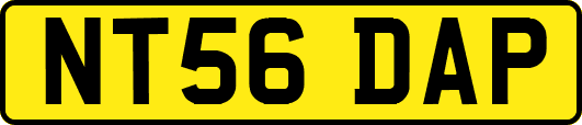 NT56DAP