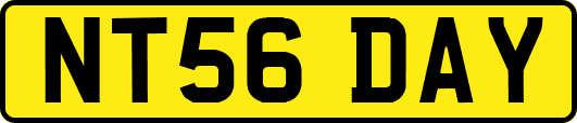NT56DAY