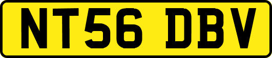 NT56DBV