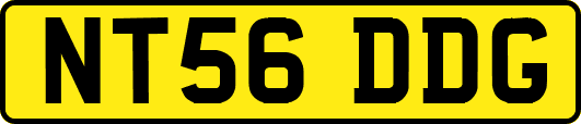 NT56DDG