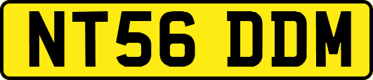 NT56DDM