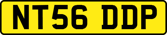 NT56DDP