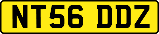 NT56DDZ