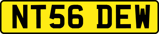 NT56DEW