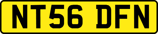 NT56DFN